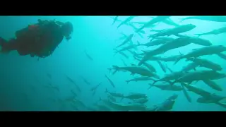 Panamá, cerca de todo.